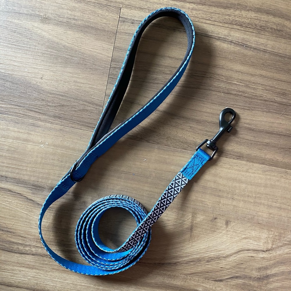 Reversible Blue Dog Leash